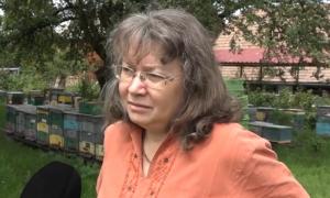 Afacerea de familie care a transformat o zonă izolată din ţară în "Grădina Reginelor". Mezinul munceşte cot la cot cu părinţii