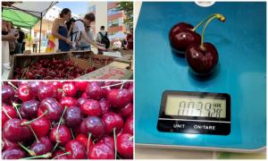 Cireşele-gigant, mai puţin cunoscute, cultivate recent şi în România. Una singură cântăreşte peste 18 grame