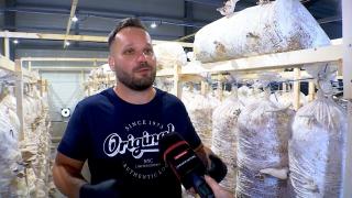 Cu 5.000 de euro în buzunar, Alexandru s-a mutat la ţară şi a deschis o afacere unică în Maramureş. "Viaţă mai veselă, mai sănătoasă"