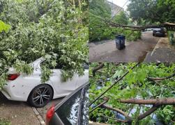 Urmările furtunii de cod roşu din Capitală: Peste 100 de copaci căzuţi şi aproape 100 de maşini distruse. Pompierii au avut 500 de intervenţii