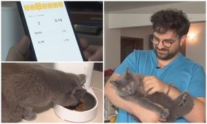 Unde laşi animalul de companie, în timpul concediului: hotel, bonă sau roboţei controlaţi de la distanţă. Preţurile cerute