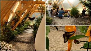 Locul unic din România unde frumuseţea prinde aripi. "Mulţumită vizitatorilor, am mărit afacerea"