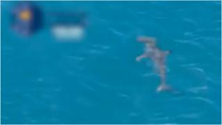 Un rechin de 3 metri şi jumătate de tonă a băgat spaina în litoralul spaniol. Steagul roşu, ancorat pe două plaje