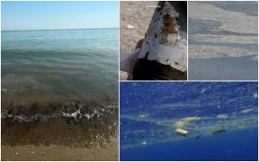 O pată uriaşă apărută în Marea Neagră i-a speriat pe turiştii din Constanţa. Ce era de fapt pelicula care a ţinut autorităţile în alertă mai multe ore