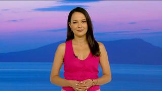 Observator de bine, 20 iunie 2024. ASF a propus prelungirea plafonării preţului la poliţele RCA până la 30 septembrie