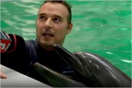 O zi din viaţa unui instructor de delfini. Florin pratică de 14 ani meseria: "Petrecem mai mult timp aici decât acasă"
