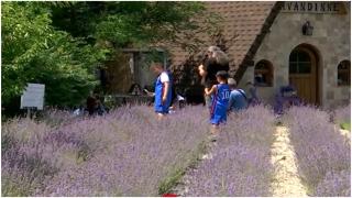 Locul din Gorj care atrage turiștii ca un magnet. Atracția desprinsă din povești oferă o experiență inedită vizitatorilor