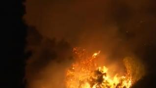 Căldura infernală aprinde pădurile din Grecia. În Turcia, 14 oameni au murit după ce flăcările au mistuit casele