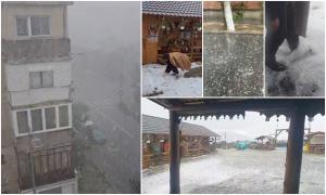 "Plouă cu piatră! Doamne fereşte!" Potop în Arad şi Gorj. Vijeliile puternice au doborât zeci de copaci, iar grindina a distrus totul în cale