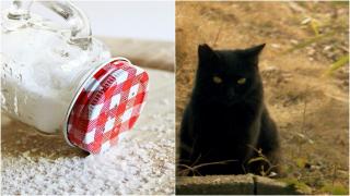 De unde vin superstițiile. Peste 70% dintre români cred în ele