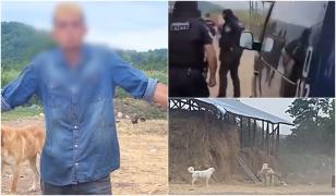 Patronul care ar fi ţinut sclavi 7 tineri, în arest la domiciliu. Victimele erau racolate din Gara de Nord şi minţite că vor primi bani. La ferma din Argeş începea chinul