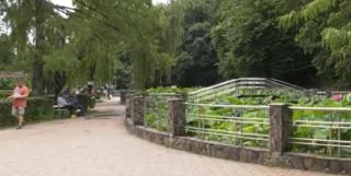 Un habitat unic în Europa se află la Băile Felix. Despre minunile naturii care pot fi admirate doar aici s-a dus vestea în toată ţara