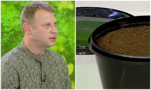 Afacerea viitorului: reciclare organică cu râme de California. Cât costă "aurul negru"