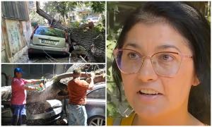 Pagube de peste 20.000 de euro pentru o familie, după ce un copac putred s-a prăbuşit peste două maşini, pe o stradă din Capitală