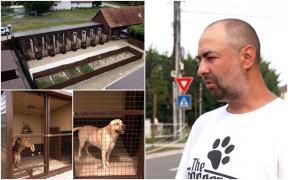 Şi-a dat demisia pentru a deveni profesionist în plimbatul animalelor. Câţi bani face Florin, "pet walker" cu 9 ani de experienţă
