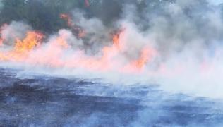 Incendiu puternic de vegetaţie în Vaslui. 20 de hectare de vegetaţie, dar şi 12 hectare de grâu au ars