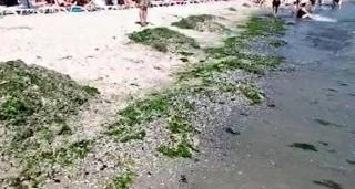 Fenomenul care dă peste cap vacanţa turiştilor de pe litoral. Sunt afectate staţiunile Năvodari, Eforie şi Mangalia