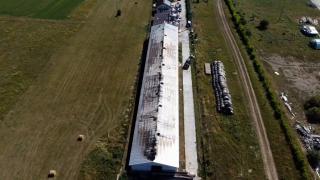 Incendiu devastator la o fermă de porci din Cluj. Peste 600 de animale au ars de vii