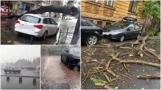 O furtună de câteva minute a făcut prăpăd în Bucureşti. A plouat torenţial, cu grindină: mai mulţi copaci, doborâţi
