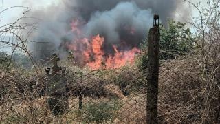 Incendiu puternic în satul Dunăreni din Constanţa. Trei case şi 20 de gospodării au fost înghiţite de flăcări