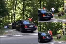 Momentul în care un urs se năpusteşte asupra doi ucraineni pe Transfăgărăşan. Animalul a fost gonit de claxoane