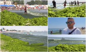 "Suntem uimiţi. Aşa ceva n-am mai văzut". Munţii de alge îngrozesc turiştii veniţi la mare; plajele sunt invadate de vegetaţie marină