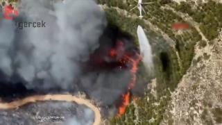 Destinaţii preferate de români, distruse de incendiile de vegetaţie. Patru oameni au murit în Italia, iar alţi 3 în Turcia din cauza caniculei