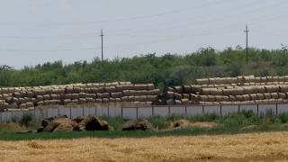 Sute de oi găsite moarte, aruncate la groapa de gunoi din Babadag. O boală extrem de contagioasă a ucis peste 1.000 de animale, în doar două zile