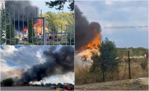"Le-au pus lăptic". Cinci cățeluși, salvați dintr-o hală în flăcări, în Târgu Jiu. Pompierii din timpul liber au venit să ajute la stingerea incendiului