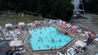 Este bronzul de munte mai rezistent și mai sănătos decât cel de mare? Concluzia specialiștilor