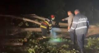 Furtunile au făcut prăpăd în toată ţara. În Gorj, o autospecială SMURD nu a putut ajunge la intervenţie: copacii căzuţi i-au blocat drumul