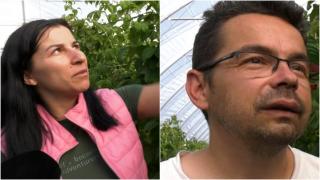 Afacerea pentru care Oana și Bogdan au renunțat la munca de birou, afectată de caniculă. Cum vor să prevină pagubele: "Ca sauna finlandeză în timpul ierinii"