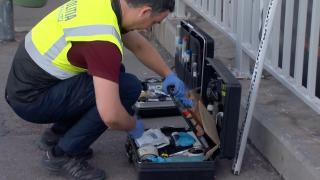 Un craniu uman a fost adus de câinii vagabonzi în apropierea unor case din Vaslui. Poliţia a căutat ore întregi restul rămăşiţelor