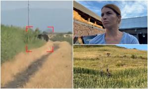 "A sărit pe mine, dar mie mi-a dat doar o labă în spate". Soţi din Bistriţa, atacaţi de ursoaică în lanul de porumb