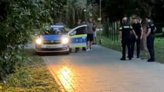 Tânărul din Satu Mare care a scos pistolul şi a ameninţat trecătorii, lăsat liber după audieri. Bărbatul, un "client" mai vechi al Poliţiei