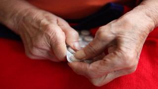 Un nou azil al groazei, descoperit lângă Pitești. "Șmecheria" prin care proprietarii evitau controalele autorităților