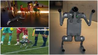 Byte, câinele-robot care ştie să vorbească şi să se joace cu mingea. Care este preţul unui astfel de căţel