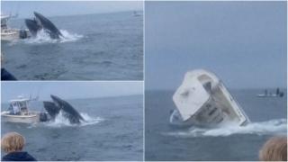 Momentul în care o balenă răstoarnă o barcă de pescari în Atlantic, surprins cu telefonul de un adolescent de 16 ani. Au scăpat ca prin minune