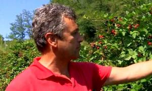 Lovitură "dulce-amăruie" pentru domnul Ion, la 6 ani de când şi-a deschis afacerea din Gorj. Profitul devine o amintire