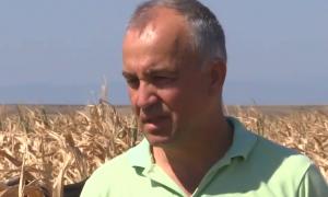 Gestul înduioşător făcut de Daniel, un agricultor din Galaţi, după ce seceta i-a distrus culturile. Ce a făcut cu singurele roade rămase