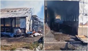 Munca de-o viaţă a unor sătmăreni, făcută scrum într-o clipită. 33 de vaci au pierit în incendiul devastator