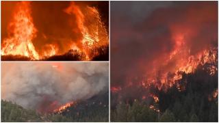 Peste 5.000 de pompieri se chinuie să stingă unul dintre cele mai mari incendii din California. Focul a distrus mai bine de 1500 de kilometri pătraţi de pădure