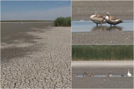 Un lac natural, paradis pentru mii de păsări, a secat complet. Deşi zona este protejată, a fost lăsată în voia sorţii