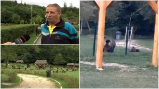 O ursoaică terorizează un parc de agrement din Braşov. Animalul apare în plină zi şi nu se mai sperie de localnici