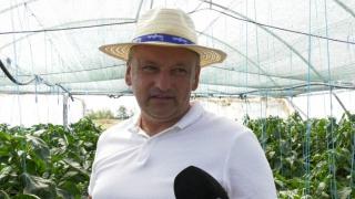 Ideea salvatoare "furată" de un inginer agronom după o vizită în Ungaria. La noi, recoltele din mai multe judeţe sunt distruse aproape complet de secetă