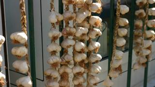 De ce se folosește usturoiul la uși și geamuri de Sfântul Andrei: "Este aliment sacru, cu dublu rol"