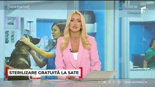 Sterilizare gratuită la sate