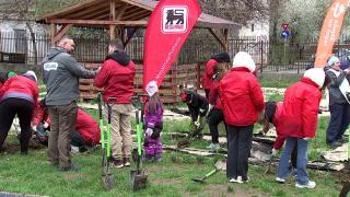 (P) Mega Image plantează 12.000 de copaci în București și Ilfov, alături de 86 de școli