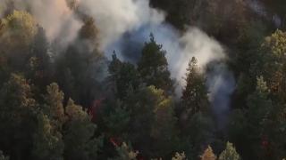 Incendiile de vegetaţie sunt de neoprit în Europa. Pompierii români au fost trimişi să ajute în Serbia