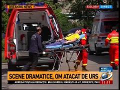 Scene dramatice în Brașov! Un bărbat a fost atacat de un urs
